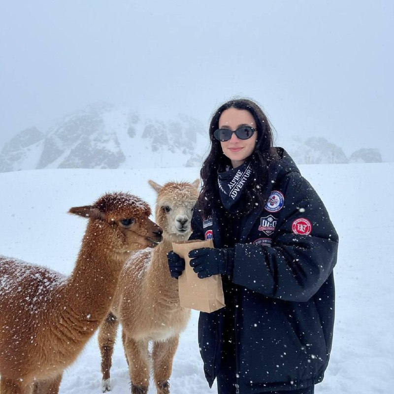 Новогодняя студия